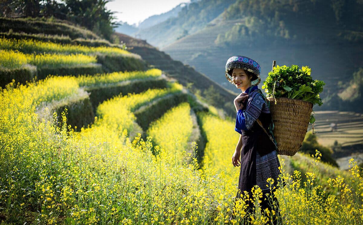 North West Vietnam package tour - 09 Days
