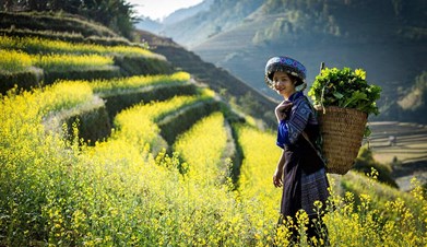 North West Vietnam package tour - 09 Days