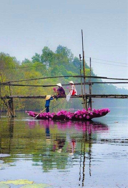 Hanoi to Saigon: The Best Highlights of Vietnam | Classic Tour - 11 Days