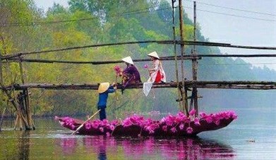 Hanoi to Saigon: The Best Highlights of Vietnam | Classic Tour - 11 Days