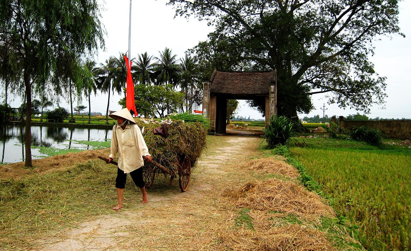 Duong Lam & Son Dong Villages Experience Day - 01 Day