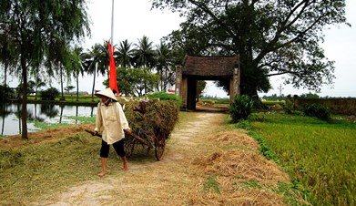 Duong Lam & Son Dong Villages Experience Day - 01 Day