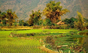 Hanoi - Mai Chau - Pu Luong - Ninh Binh - Halong Bay | Authentic experience - 08 Days