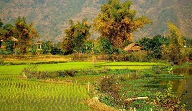 Hanoi - Mai Chau - Pu Luong - Ninh Binh - Halong Bay | Authentic experience - 08 Days