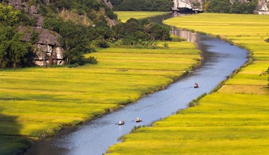 Hoa Lu - Tam Coc classic tour - 01 Day