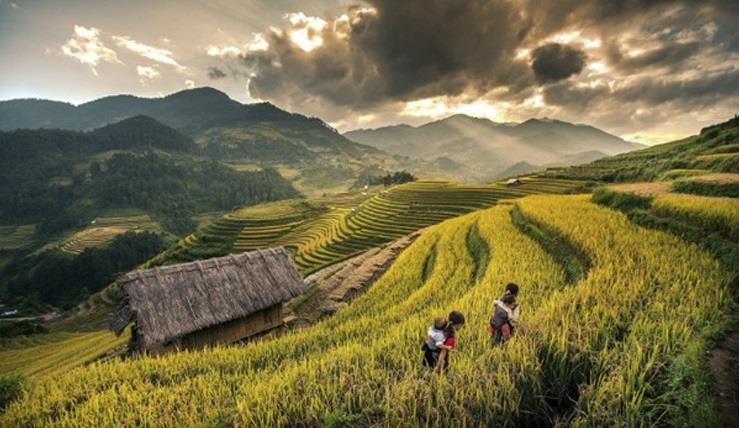 Hanoi - Sapa - Ninh Binh - Halong Bay | Authentic Experience - 07 Days
