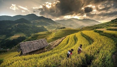 Hanoi - Sapa - Ninh Binh - Halong Bay | Authentic Experience - 07 Days